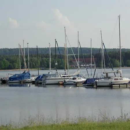 Amslinger * Gunzenhausen