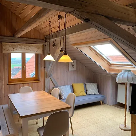 Amslinger Apartment *