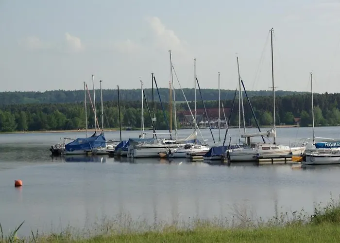 Amslinger * Gunzenhausen