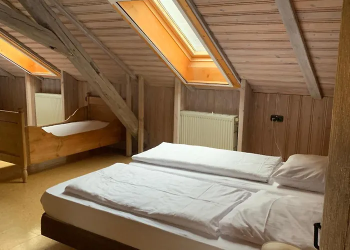 Amslinger * Gunzenhausen